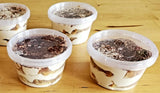 Tiramisu in a cup